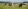 Foto: iStock. Stikstofpoppenkast duurt voort